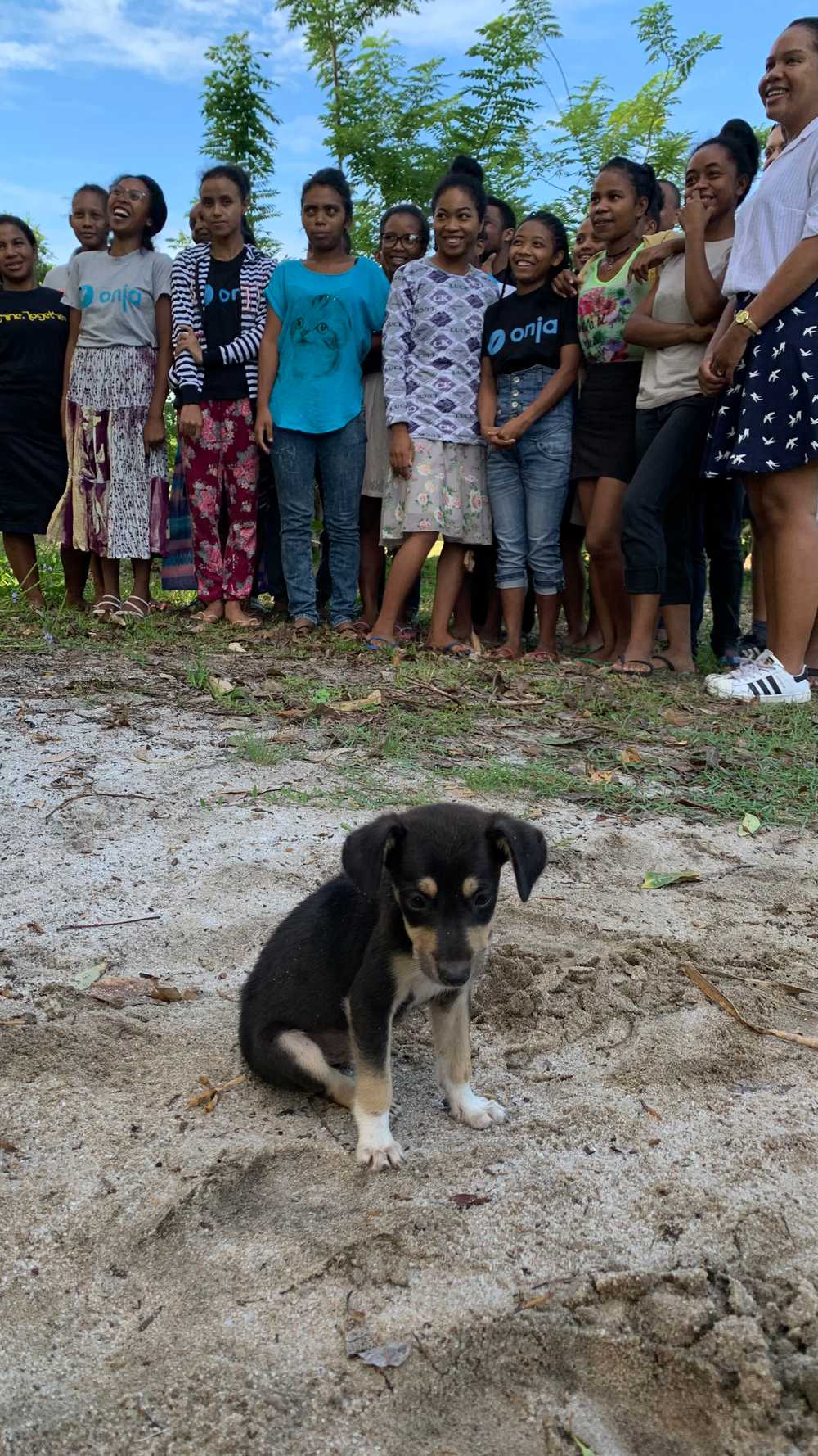 Ich suche noch nach besseren Bildern von den Students